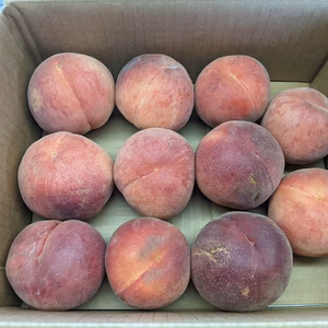 桃　訳あり2箱同梱商品