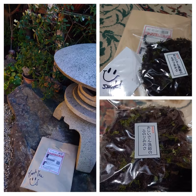 みんなの投稿の画像