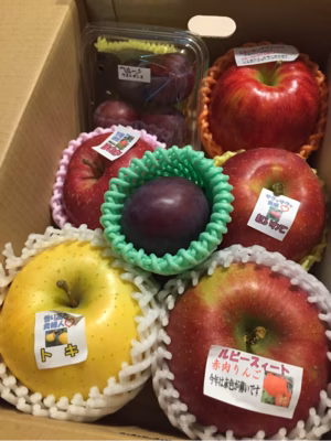 みんなの投稿の画像