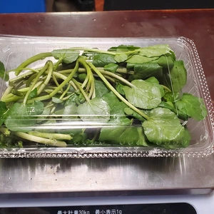 【パック詰め1kg】クレソン20セット