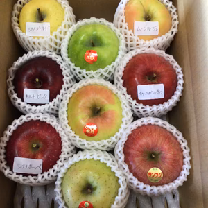冬のりんご　食べ比べセット(3〜7品種)　数量限定