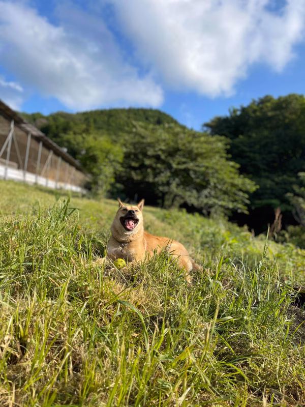 春夏秋冬の卵を月１回３０個 (エラー対応）