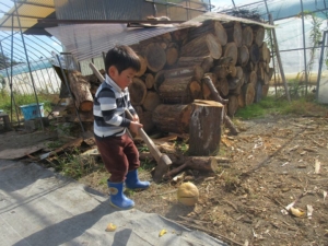 14590477_1099136413527471_2260087816030179438_n