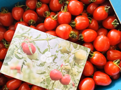 みんなの投稿の画像