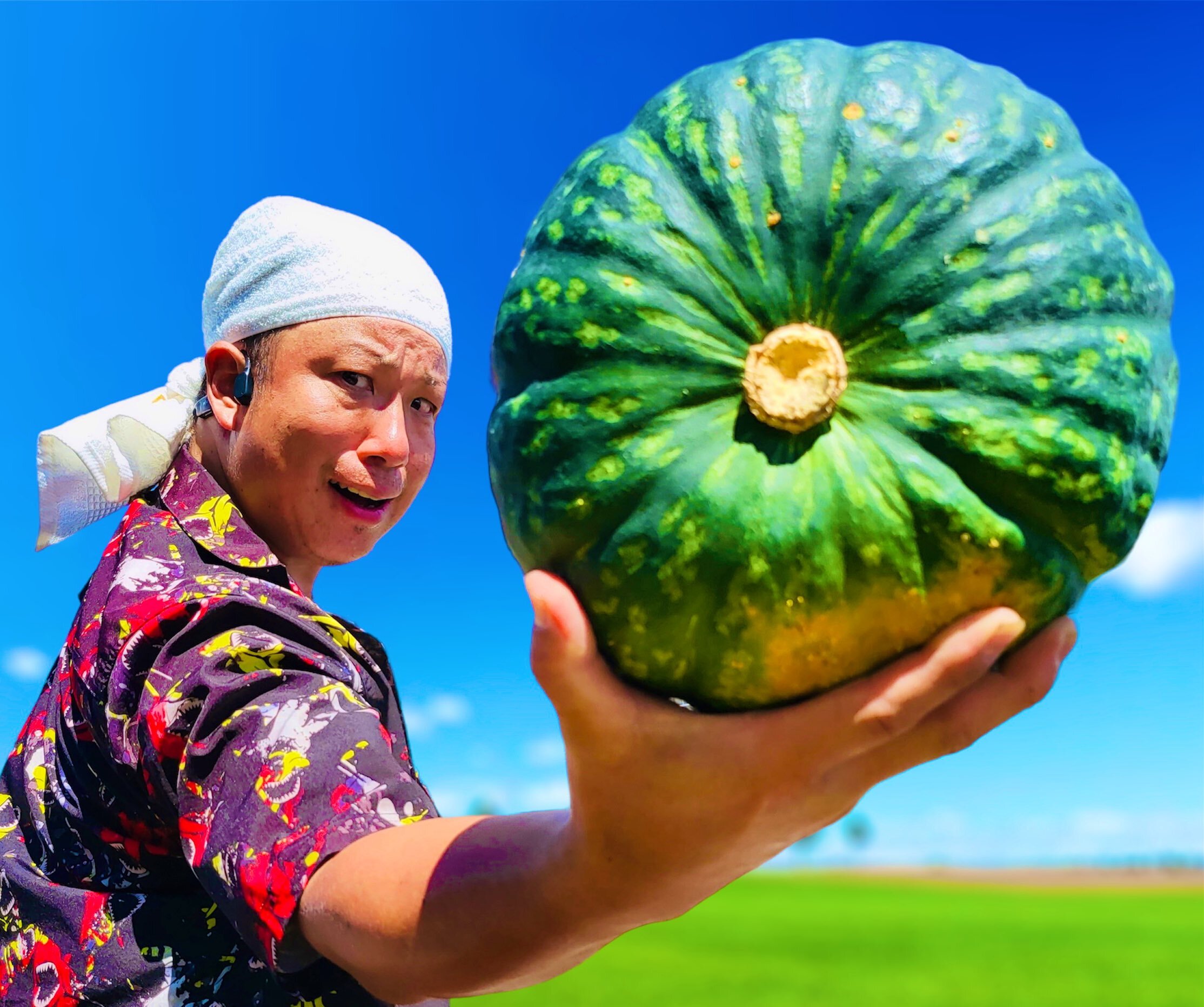 かぼちゃの通販・お取り寄せ商品｜野菜｜ポケットマルシェ｜産地
