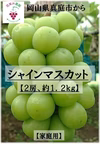 S-1 花笑み農園　岡山の『シャインマスカット』約１．２ｋｇ（２房）