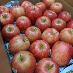 シナノドルチェ 小玉 新聞梱包 爽やかな酸味がクセになる!