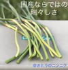 【送料込み】希少な赤蕾　新鮮にんにくの芽　250g