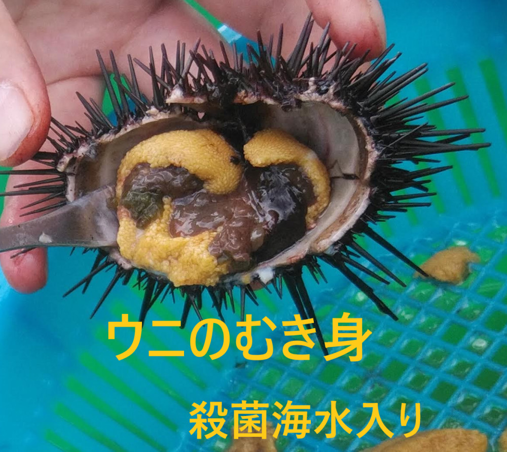 〈じいちゃんのウニ〉朝穫れ 三陸産 生ウニ 瓶ウニ 450g じいちゃんのウニ〉朝穫れ 三陸産 生ウニ 瓶ウニ 450g