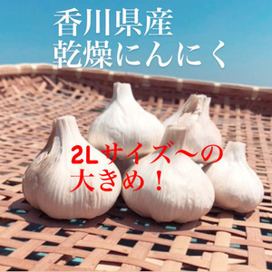 香川県産✨乾燥にんにく✨大きめ！