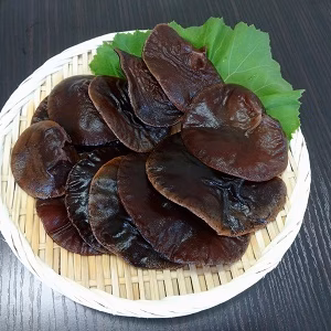 生きくらげ 600g(100g×6パック)