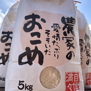 【限定販売】北海道新米ななつぼし白米（5キロ）