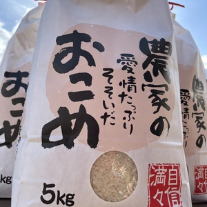 【限定販売】北海道新米ななつぼし白米（5キロ）
