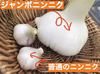 ✳️愛知産✳️ジャンボニンニク(バラ1kg)