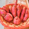 【訳あり】さつまいも2種食べ比べセット！