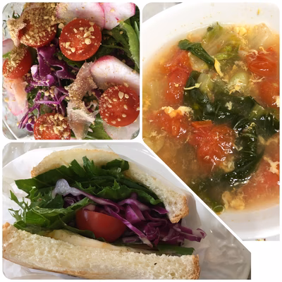 みんなの投稿の画像