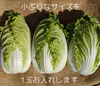 特別栽培米ミルキークイーン【新米】と旬の野菜のセット（有機・農薬不使用野菜６品）