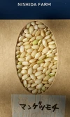 令和５年産【玄米味比べ 】コシヒカリ玄米2kg&マンゲツモチ玄米2kg 