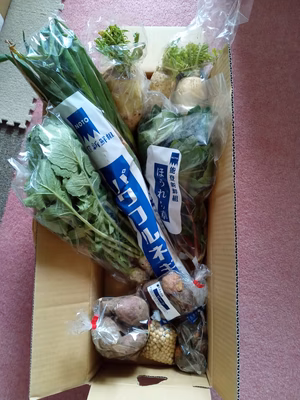 みんなの投稿の画像