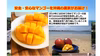 【夏ギフト】沖縄産マンゴー1キロ（2～3個入り）化粧箱入り