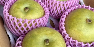 【スタッフ注目の新着商品8/16】旬一番の味✨なつひめ梨🍏、季節限定の生落花生おおまさり🥜など