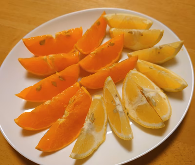 みんなの投稿の画像