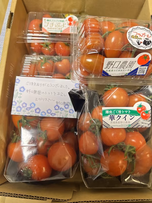 みんなの投稿の画像