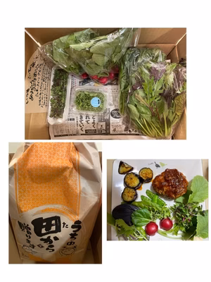 みんなの投稿の画像