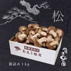 極上長生き椎茸『松』箱詰1ｋｇ