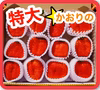 ★超甘い★新鮮朝採り！特大いちご