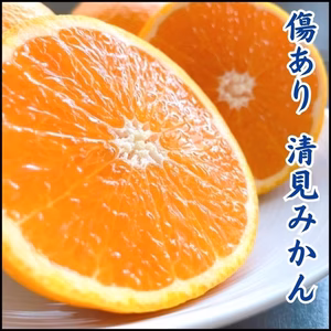 月末まで割引 甘い 清見みかん【和歌山のみかん】蜜柑 ミカン 送料無料