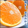 月末まで割引 甘い 清見みかん【和歌山のみかん】蜜柑 ミカン 送料無料