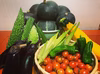 山梨の季節野菜セット