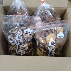 【お得用】下仁田しいたけ生と乾燥の3点セット