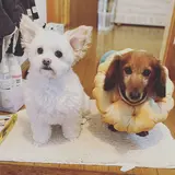 ひろちゃん