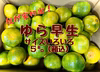 こたつみかん　“ゆら早生”　５㌔（箱込・ちょっとわけあり品）