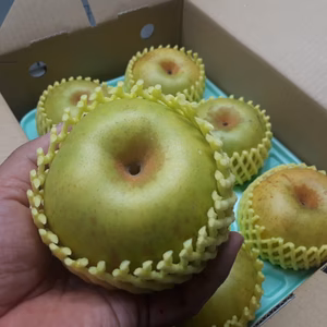 B-N2 『自家用』二十世紀2キロ(5.6玉) ※あきづき2㎏追加可