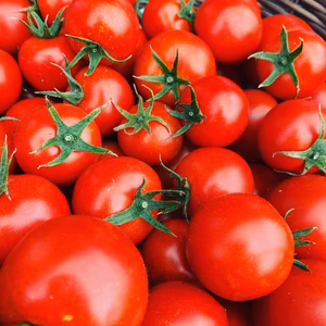 【驚くほど皮がやわらかい‼︎】堀田農園の中玉トマト‼︎農薬はつかっていません