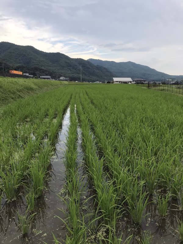 志寛（SHIKAN）