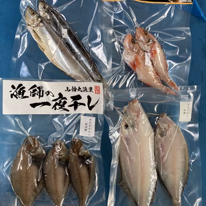 おまかせ干し魚セット(4〜5種類入り)