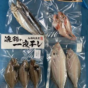 おまかせ干し魚セット(4〜5種類入り)