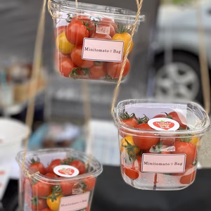 ミニトマトバック