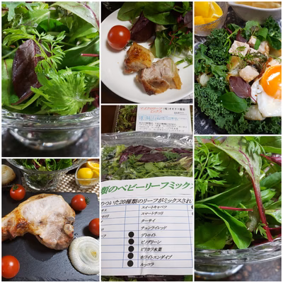 みんなの投稿の画像