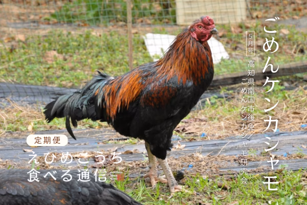 【定期購読】えひめ・こうち 食べる通信【2025年5月号／食べ物付き読みもの】