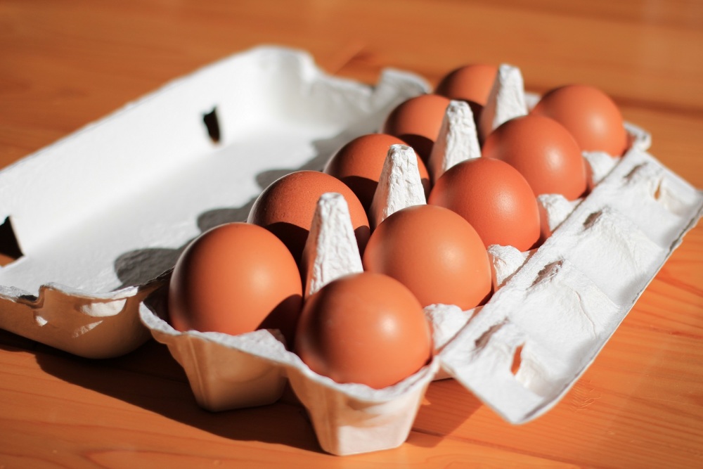 [10〜5月常温]白米と平飼い自然卵のセット 分量選べます(米粉麺も) 白米2kg1袋、卵10個入2P