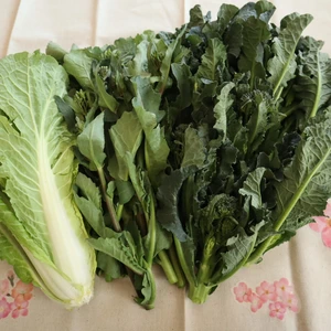 【3月14日週限定】簡単調理！さくらさく”春”のレア野菜セット
