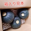 三浦カボチャ(3個入り)