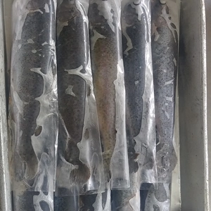 ニジマス冷凍(8～12匹)×2セット　約2kg