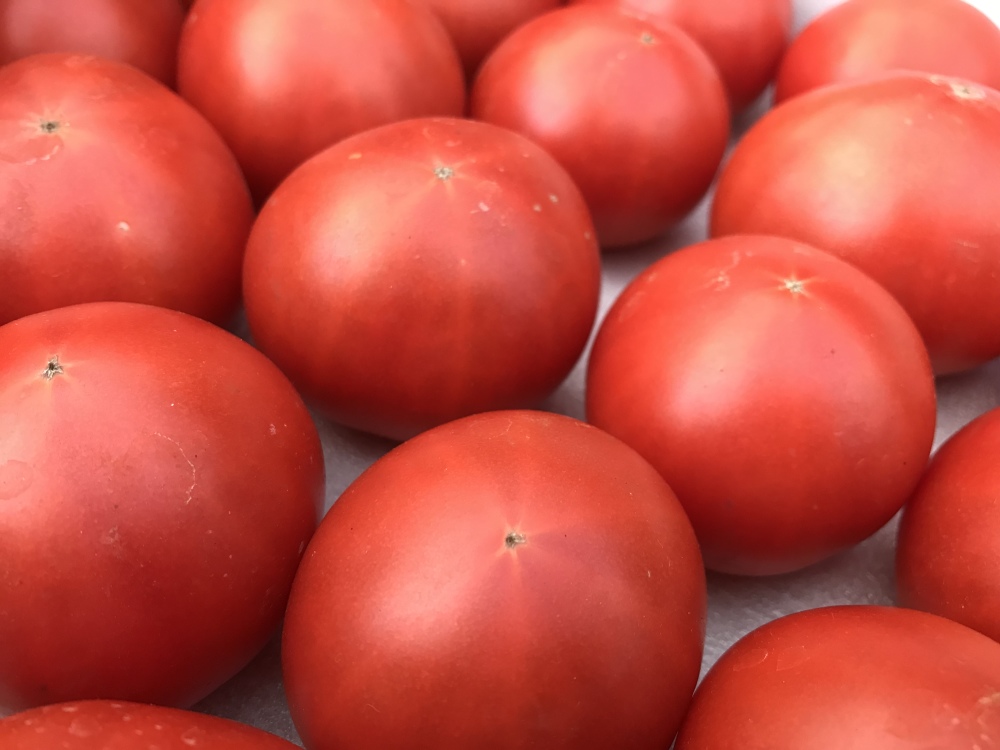 2kg 贅沢トマト ちっちゃいプレミアム 農家漁師から産地直送の通販 ポケットマルシェ