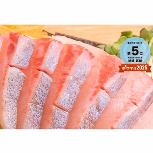 金寿カンパチ刺身用ブロック600g〜 